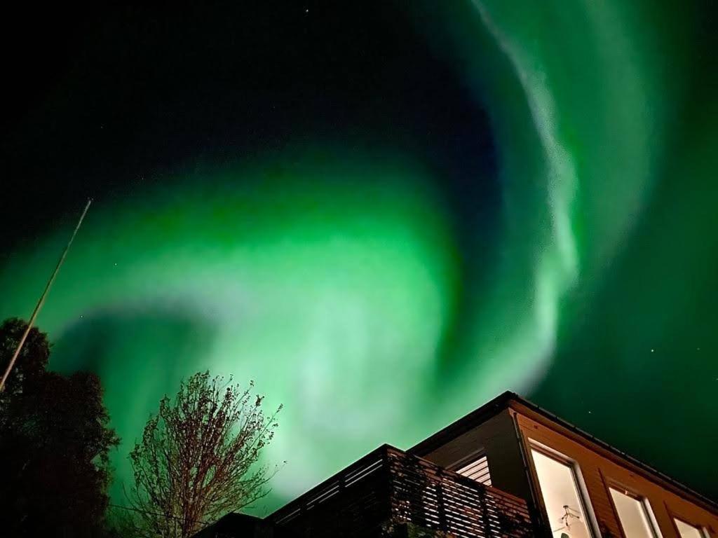 Ferienwohnung Waterfront Senja Torsken Exterior foto