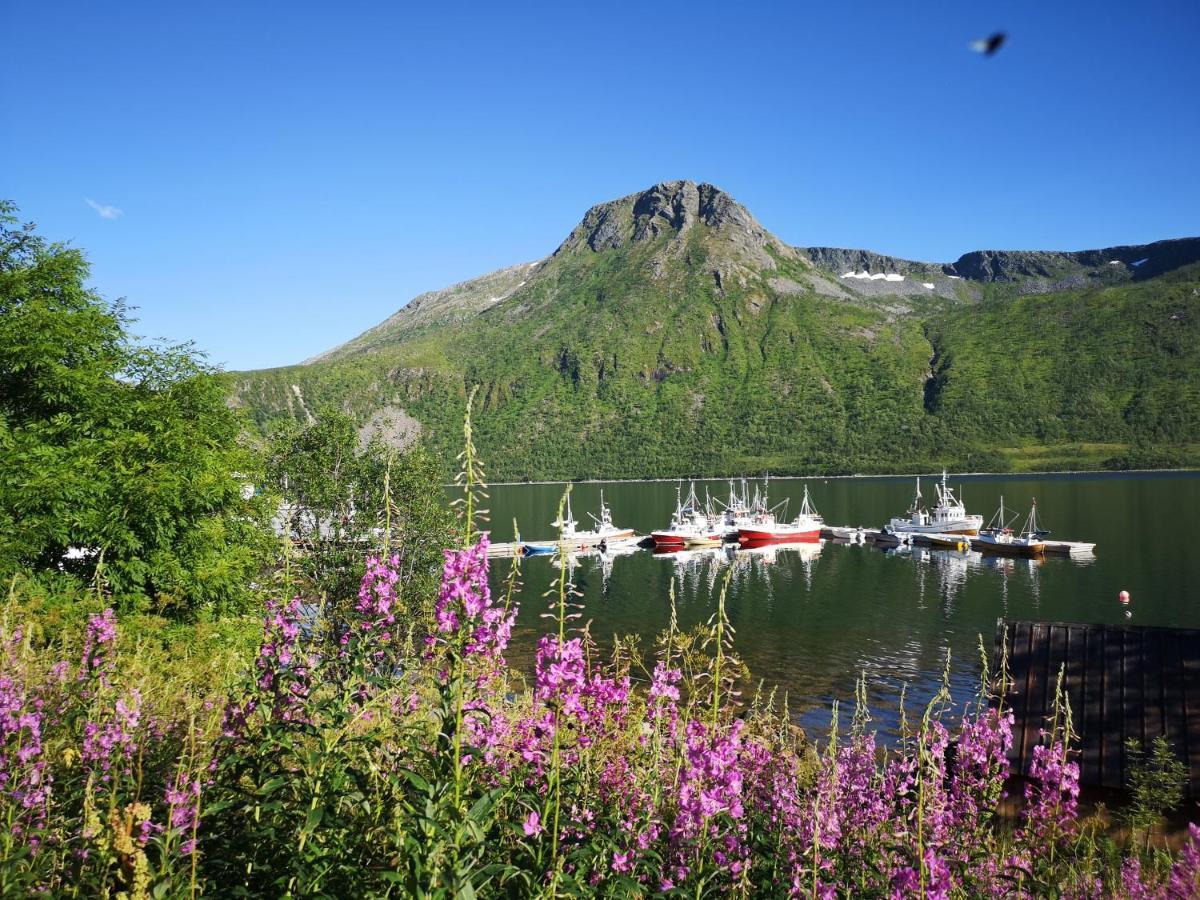 Ferienwohnung Waterfront Senja Torsken Exterior foto