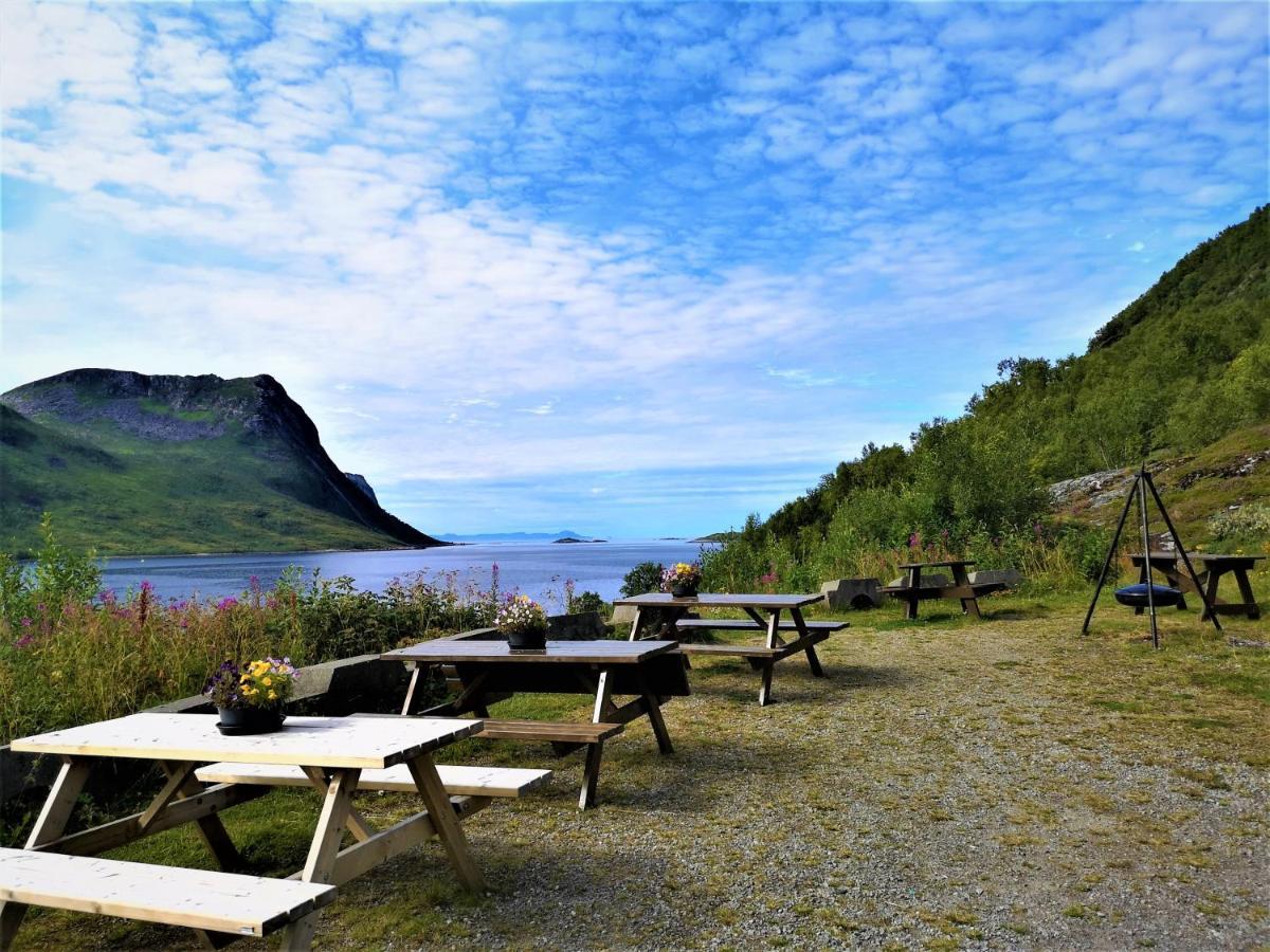 Ferienwohnung Waterfront Senja Torsken Exterior foto
